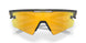 949905 - Green - Prizm 24k Polarized