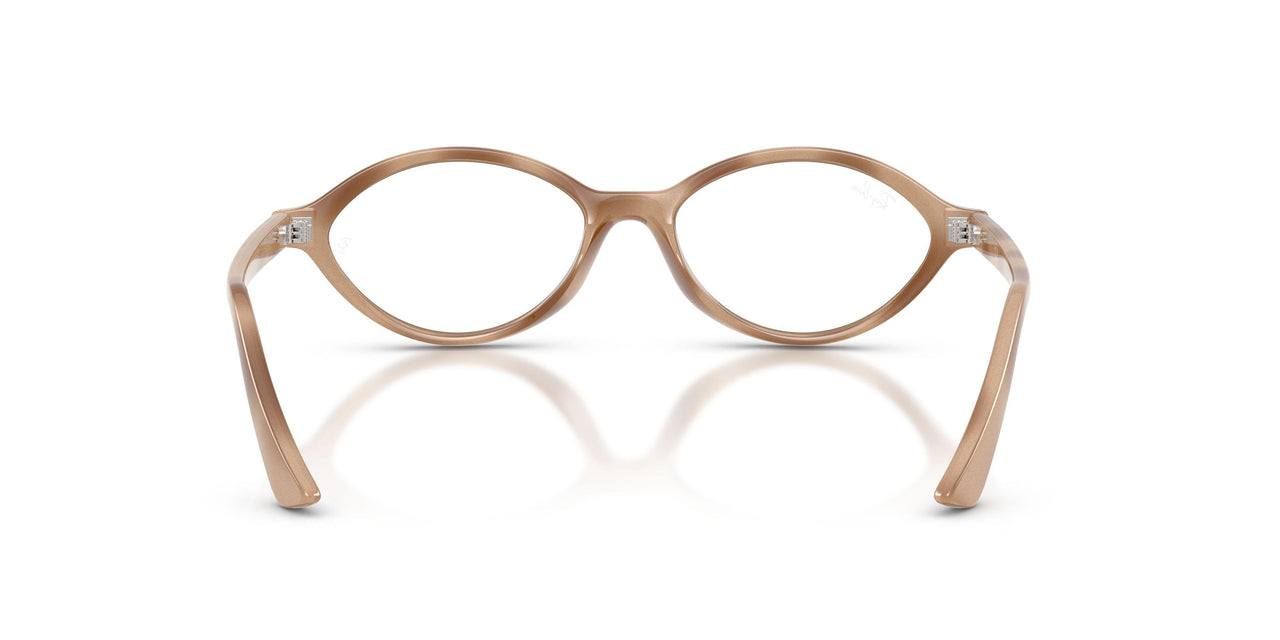 8491 - Tortoise - Clear