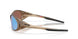 943845 - Brown - Prizm Deep Water Polarized