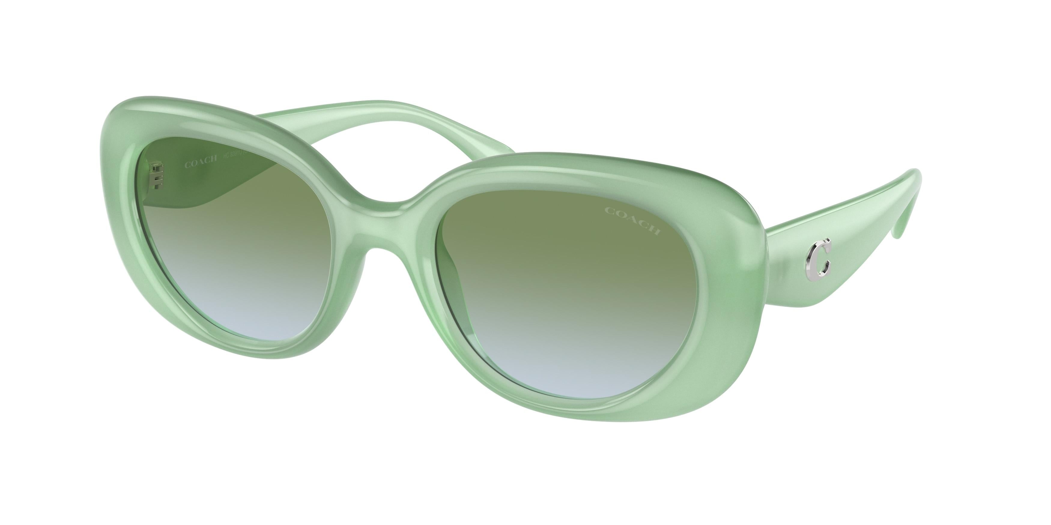 COACH コーチ サングラス　HC8391U(CR609) ウェリントン HC8391U CR609 sunglasses Black | SmartBuyGlasses US