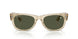 146031 - Beige - Green