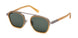 ZEGNA 0231 Sunglasses