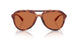 577473 - Tortoise - Brown Solid