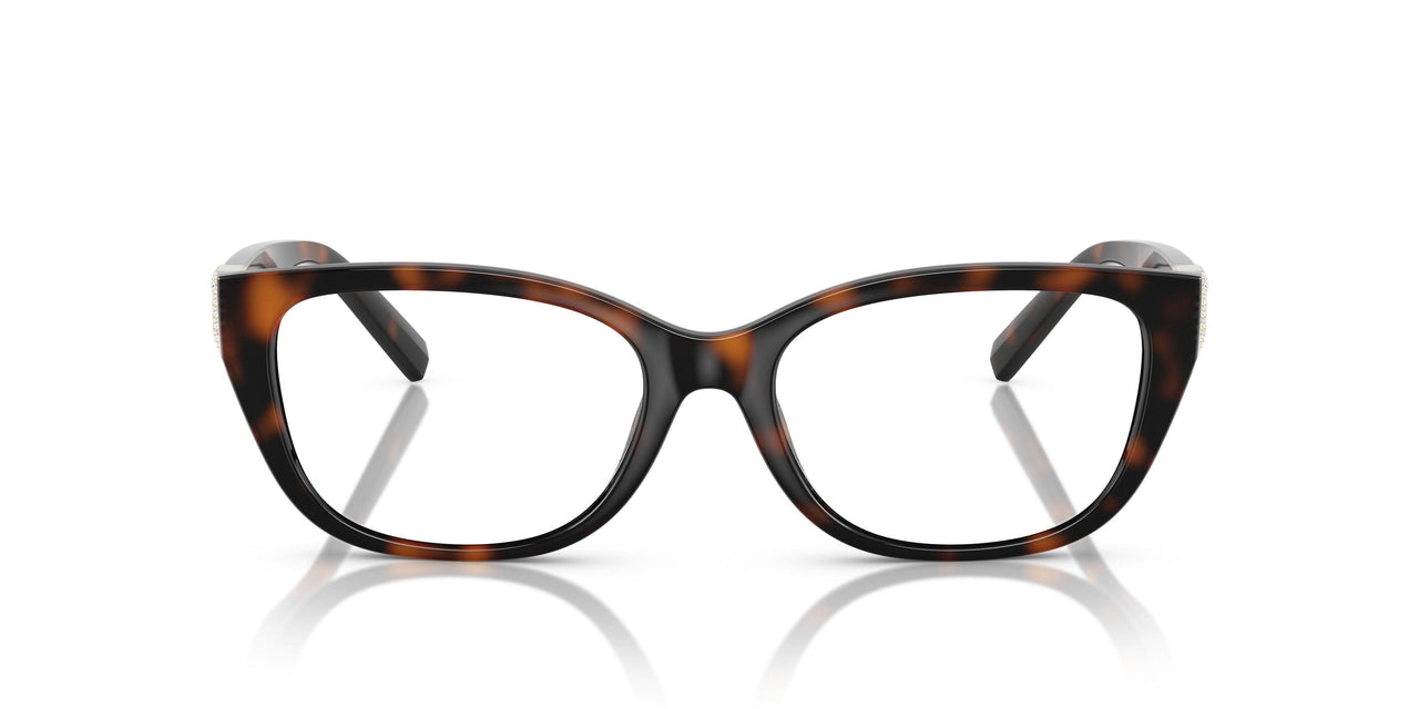 8015 - Tortoise