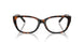 8015 - Tortoise
