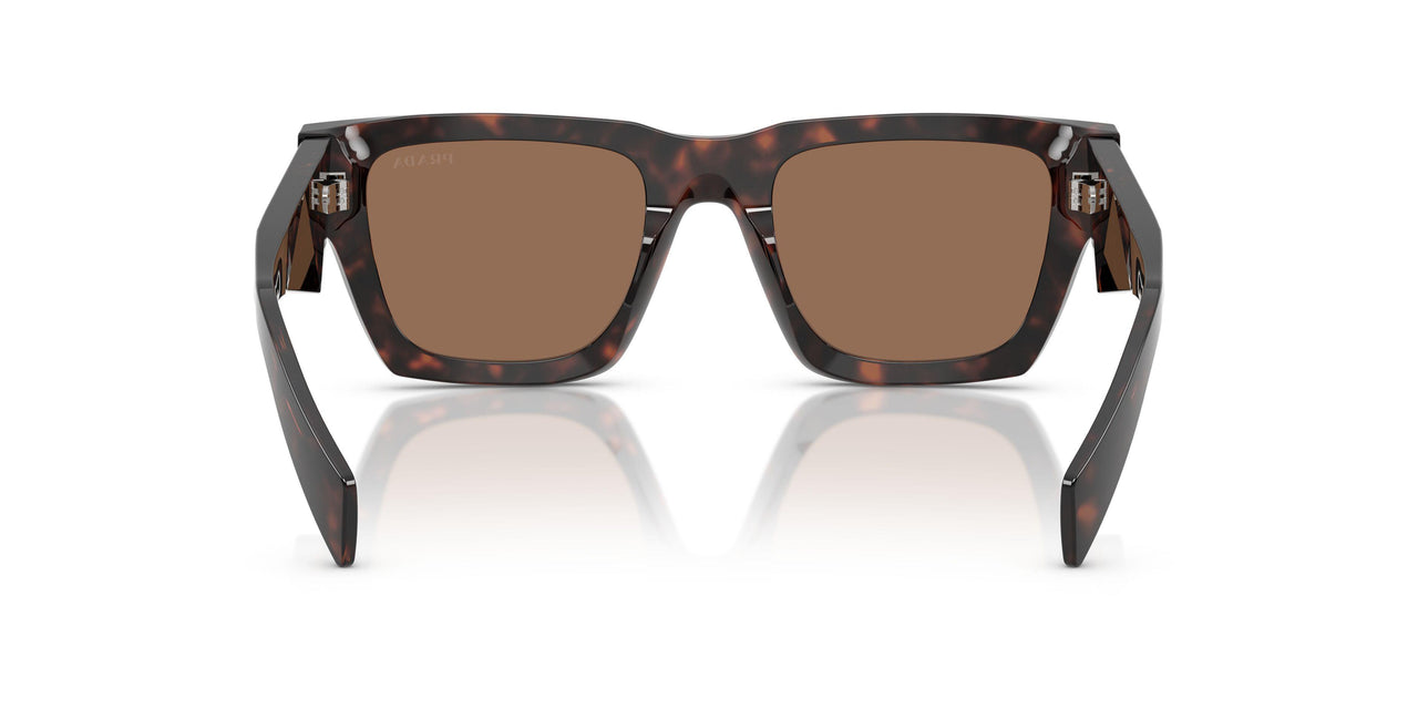 17N06B - Tortoise - Dark Brown