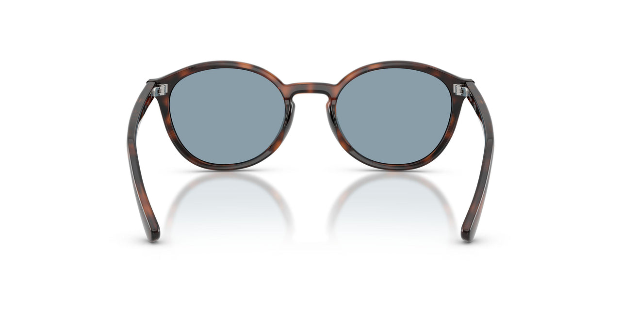 271880 - Brown - Light Blue