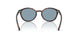 271880 - Brown - Light Blue