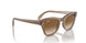 664051 - Light Brown - Clear Gradient Brown