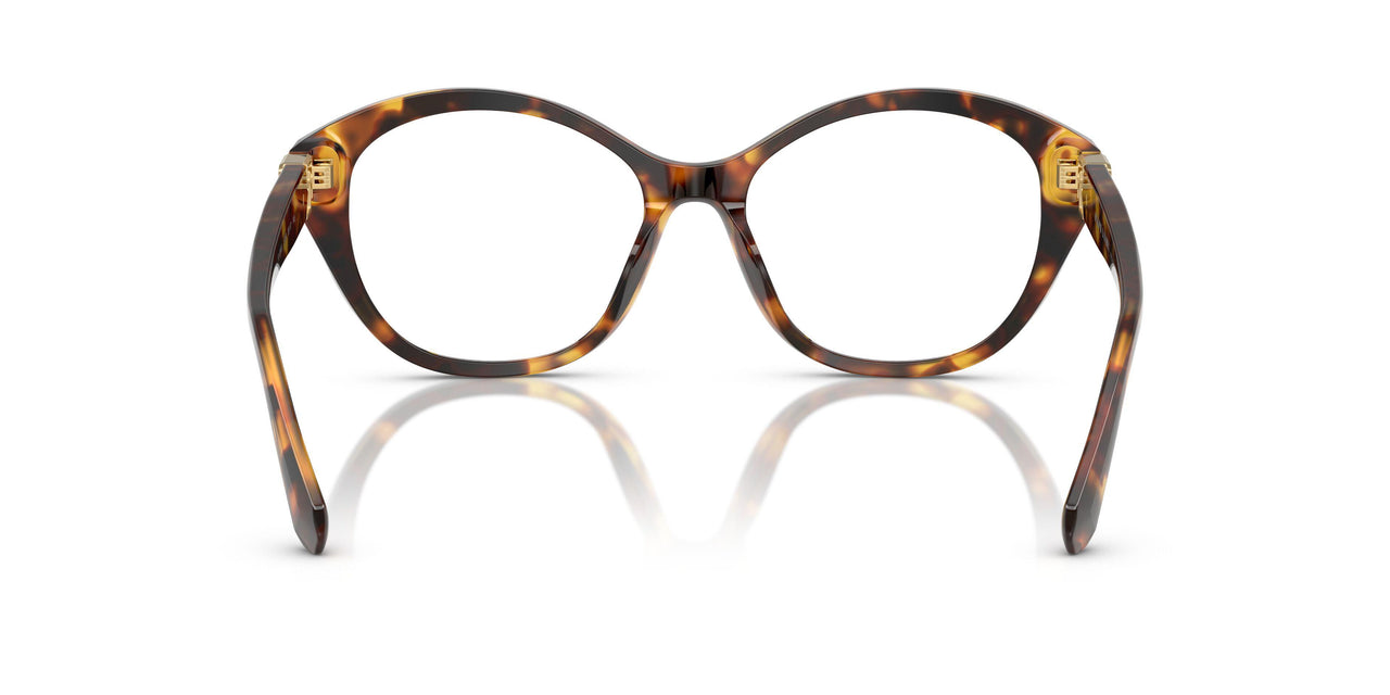 5134 - Tortoise