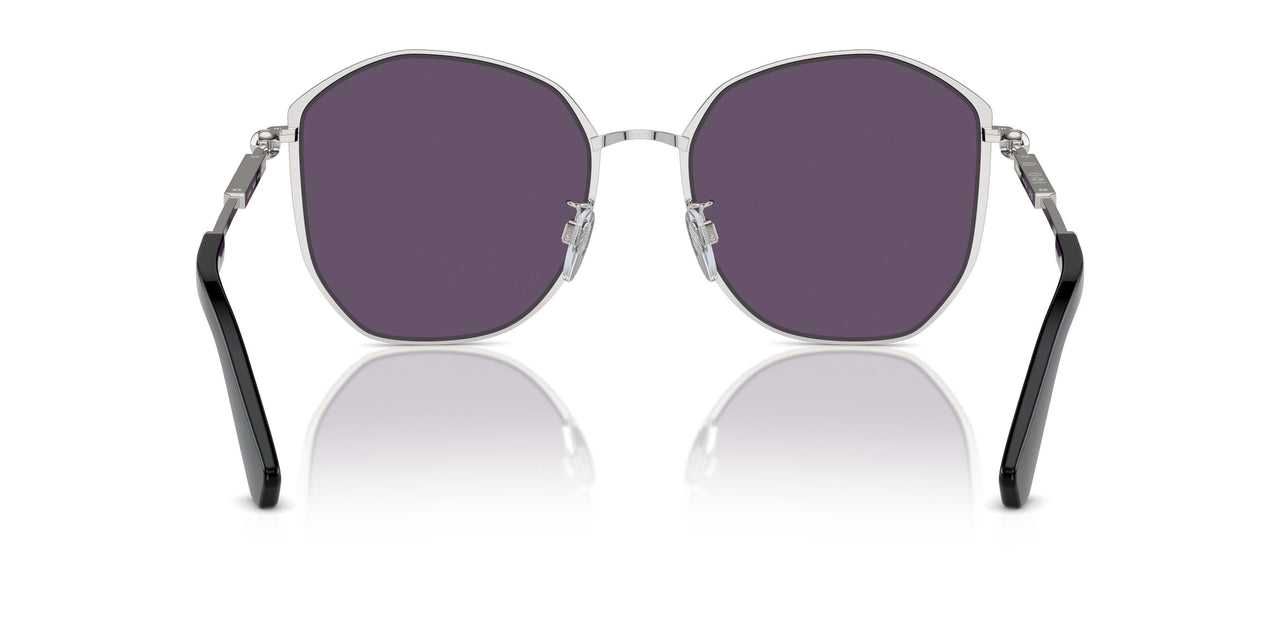 10051A - Silver - Violet