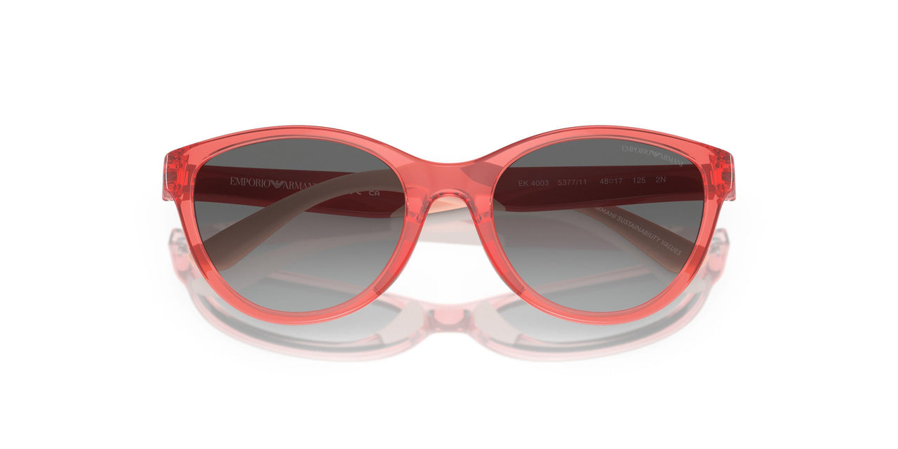 537711 - Pink - Gradient Grey