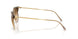 691851 - Brown - Clear Gradient Brown