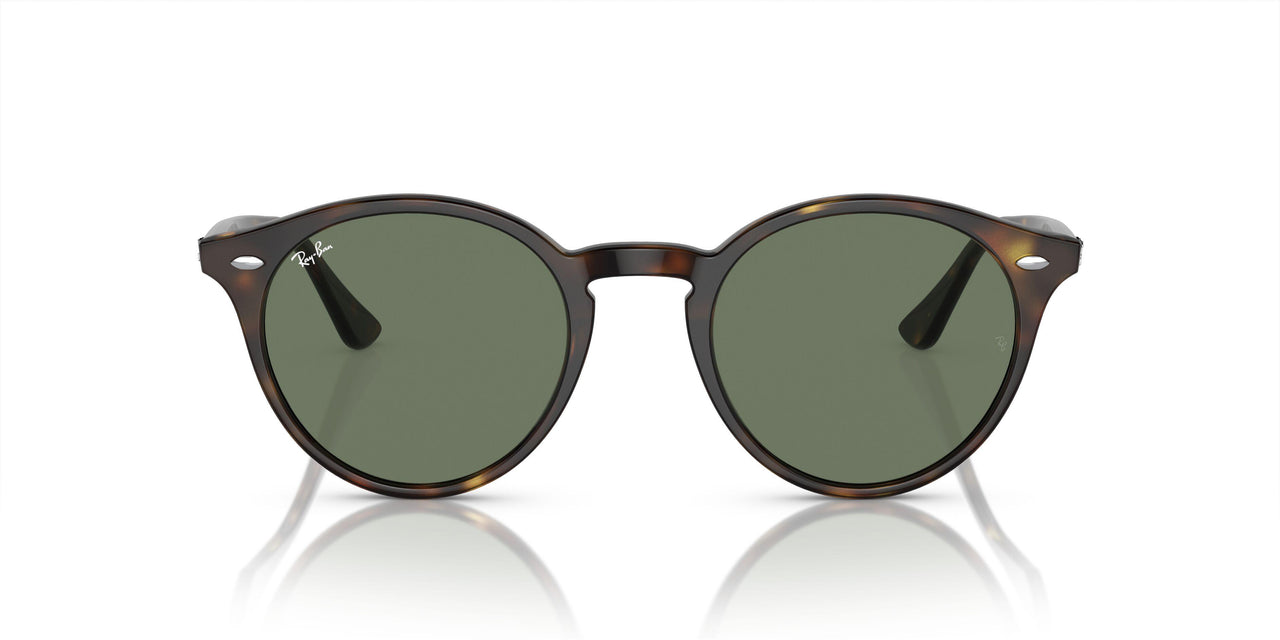 710/M1 - Havana - Photo Clear To Grey/green Quar