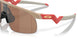 901017 - Brown - Prizm Tungsten
