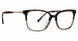 TGY - Tortoise/Grey