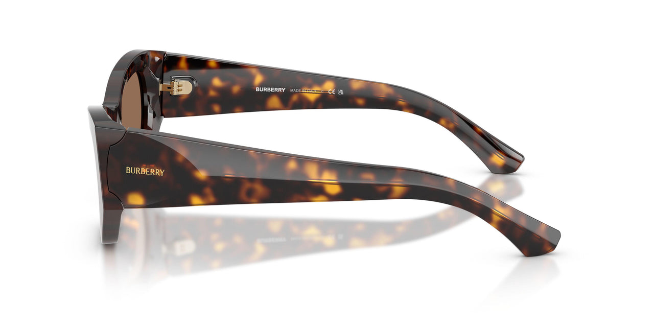 300273 - Brown - Dark Brown