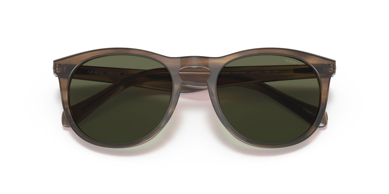 590058 - Brown - Polar Green
