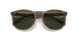 590058 - Brown - Polar Green
