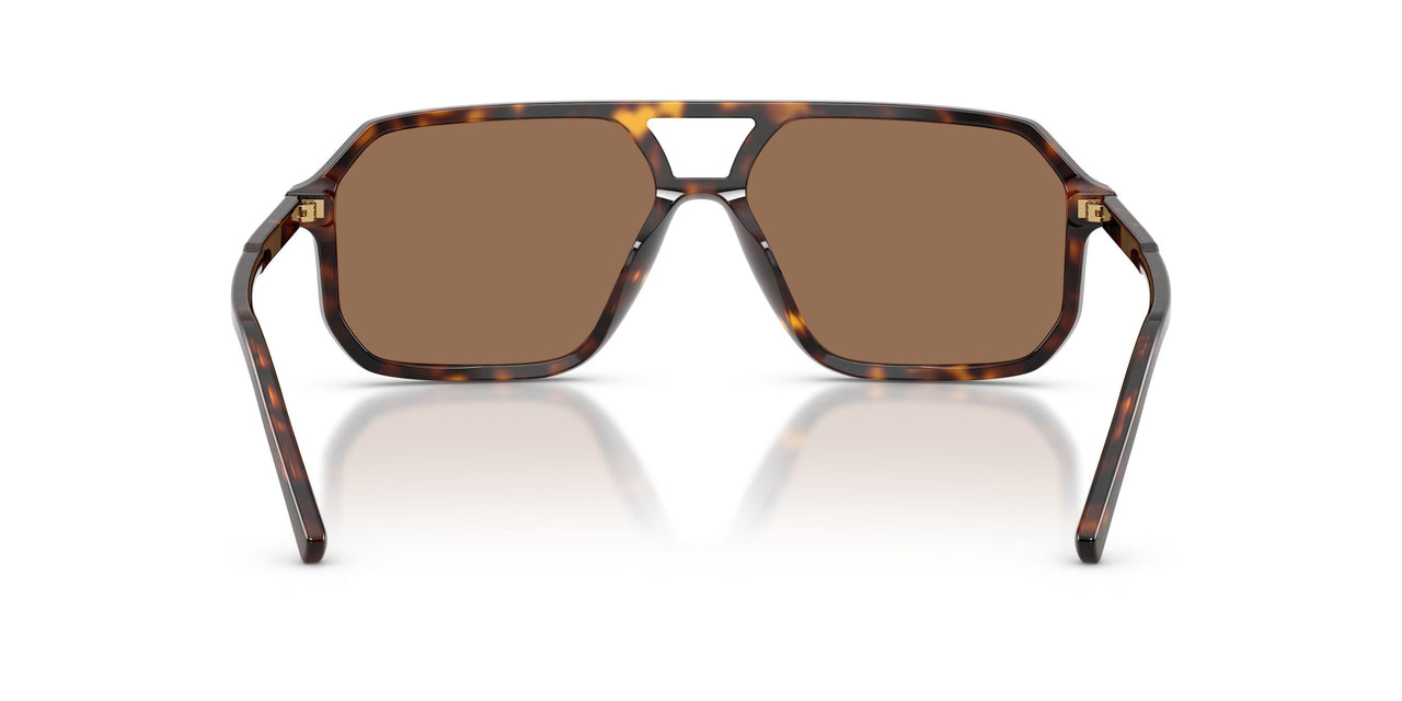 502/73 - Tortoise - Dark Brown