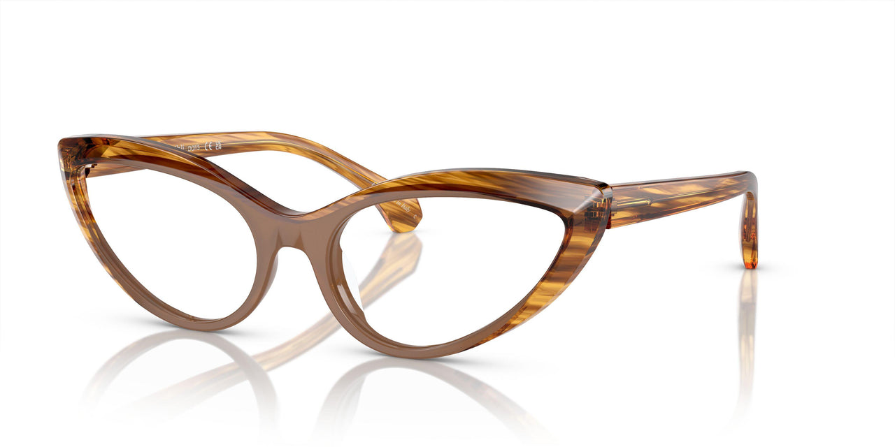 003 - Brown