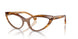 003 - Brown