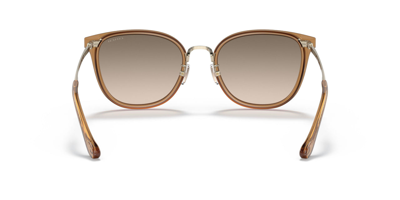 565413 - Brown - Light Brown Grey Gradient
