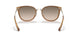 565413 - Brown - Light Brown Grey Gradient