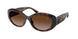 624113 - Tortoise - Gradient Brown