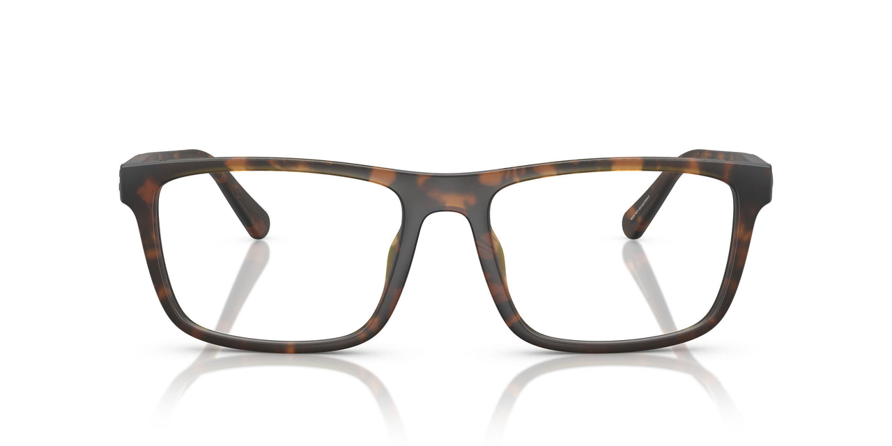 5120 - Tortoise