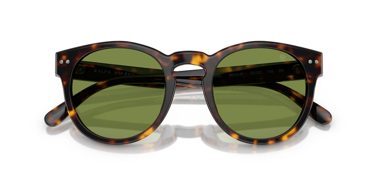 50034E - Brown - Solid Green