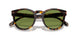 50034E - Brown - Solid Green