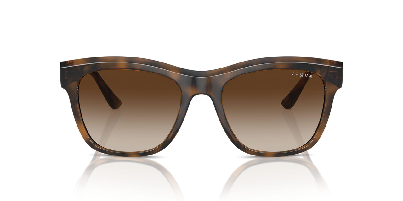 238613 - Brown - Brown Gradient
