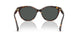 500387 - Brown - Grey