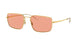 Ray-Ban 3669 Sunglasses