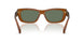 22I70L - Brown - Dark Green