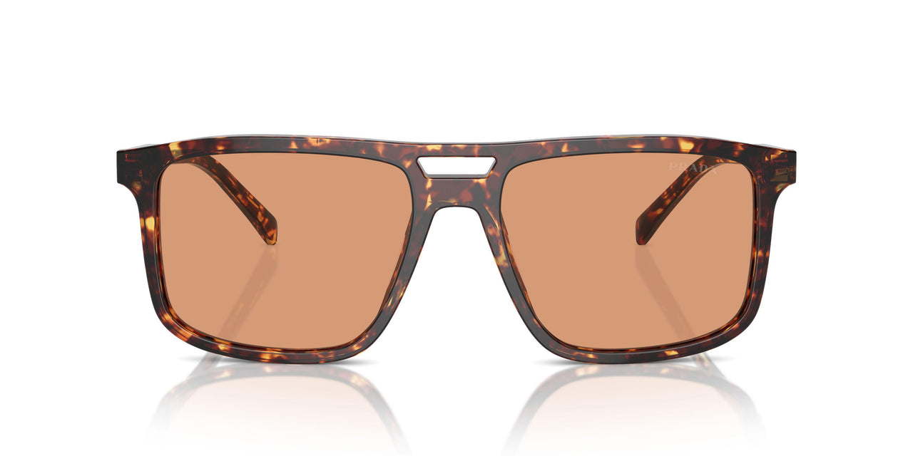 14O07V - Tortoise - Orange