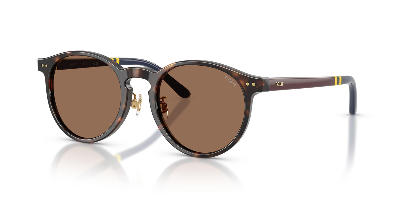 500373 - Tortoise - Brown