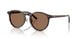 500373 - Tortoise - Brown