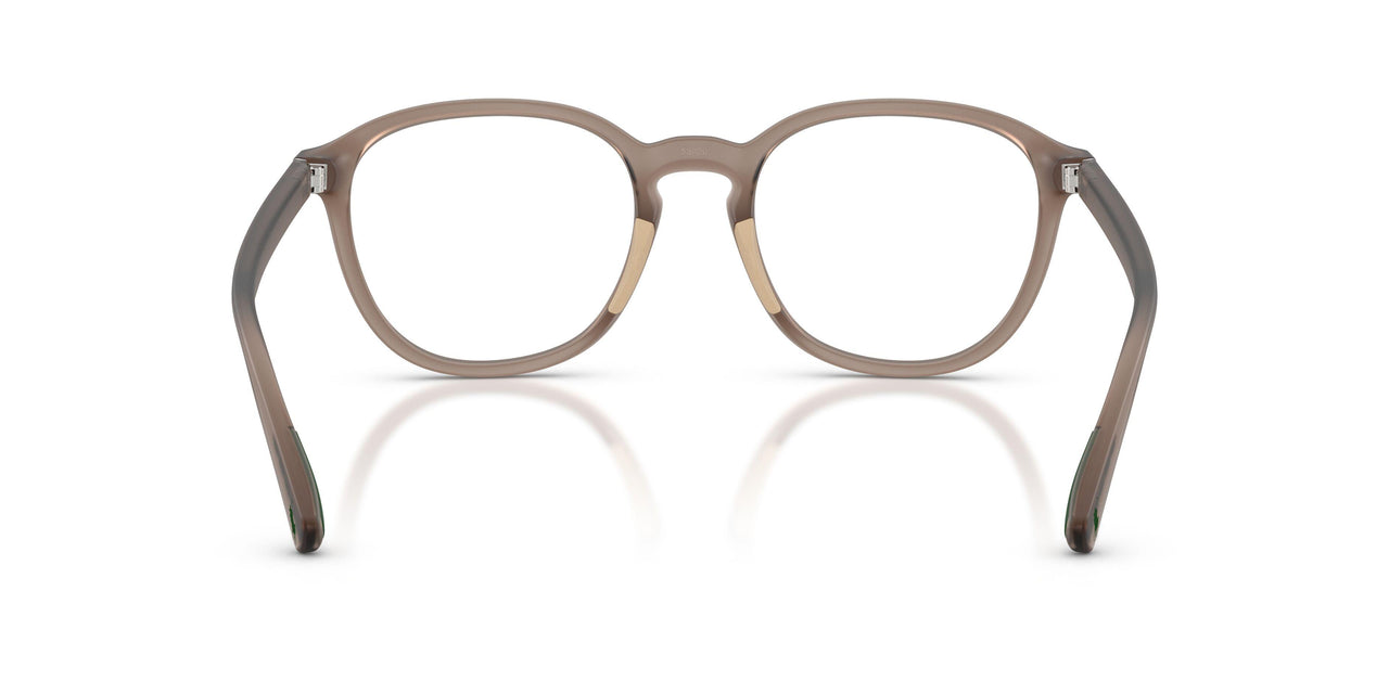 6313 - Brown