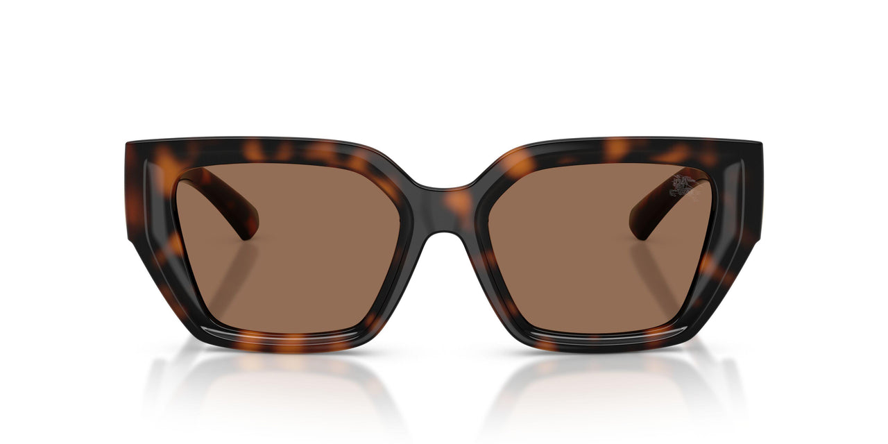 300273 - Brown - Dark Brown