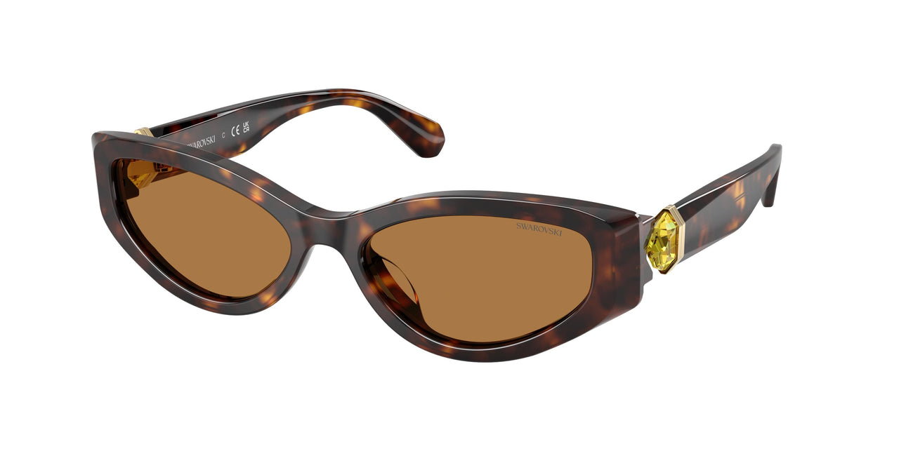 100273 - Tortoise - Bronze