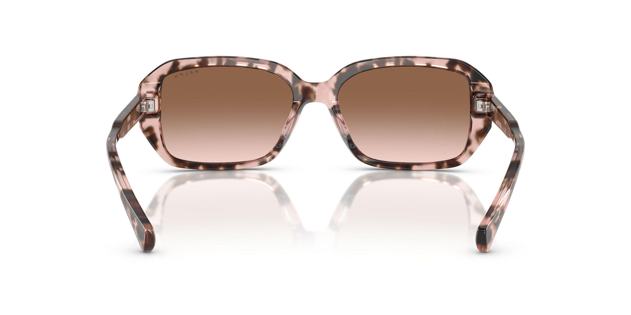 605813 - Pink - Gradient Brown