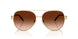 911674 - Gold - Gradient Brown