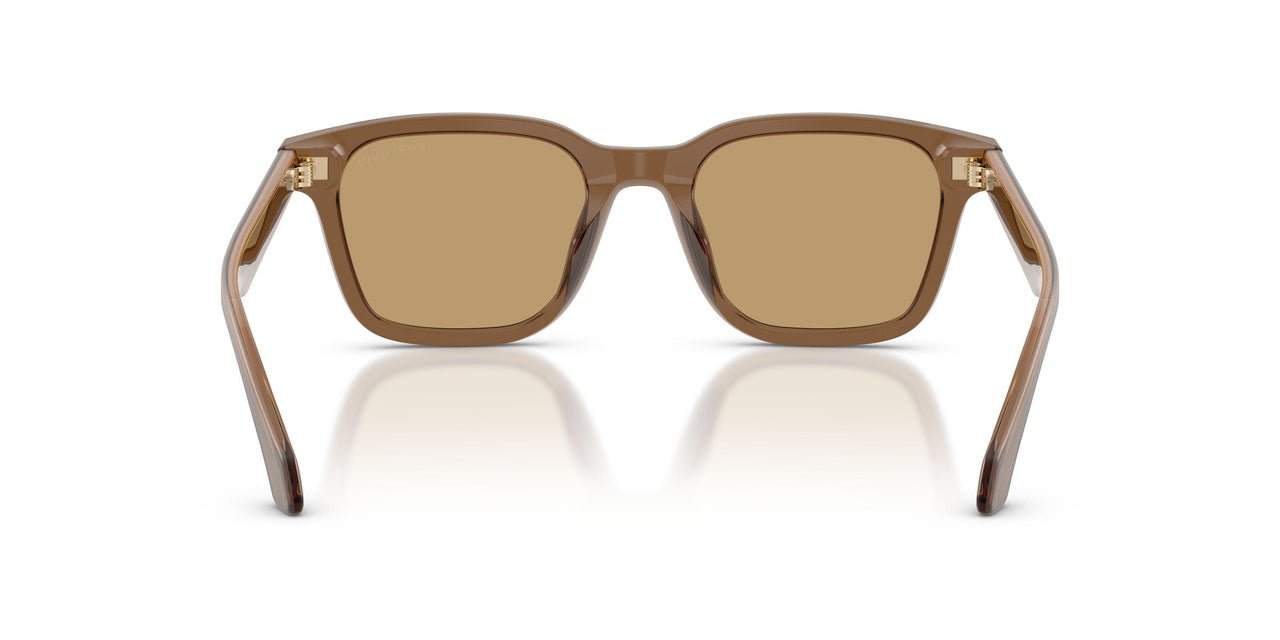 647573 - Brown - Brown