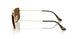 001/57 - Gold - Polar Brown