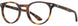 1 - Tortoise - Frame Only