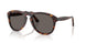 24/B1 - Tortoise - Dark Grey