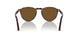 24/57 - Tortoise - Polar Brown