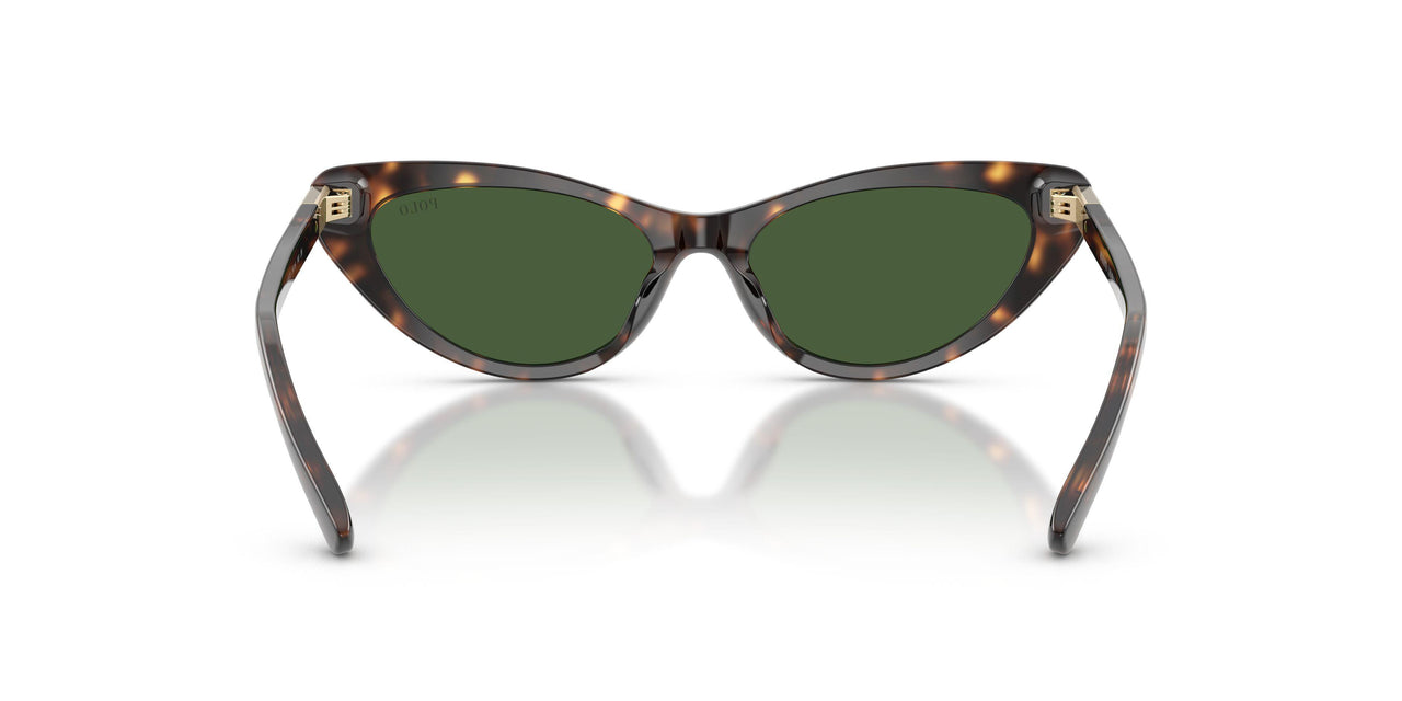 500371 - Tortoise - Bottle Green